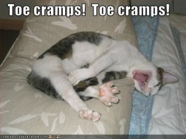 cat cramps