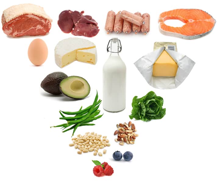 Nutrition _asic_.   (Nutrition without the&nbsp;BS)