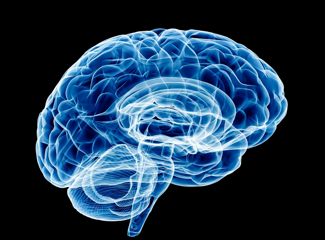 Your Internal GPS Your Internal GPS